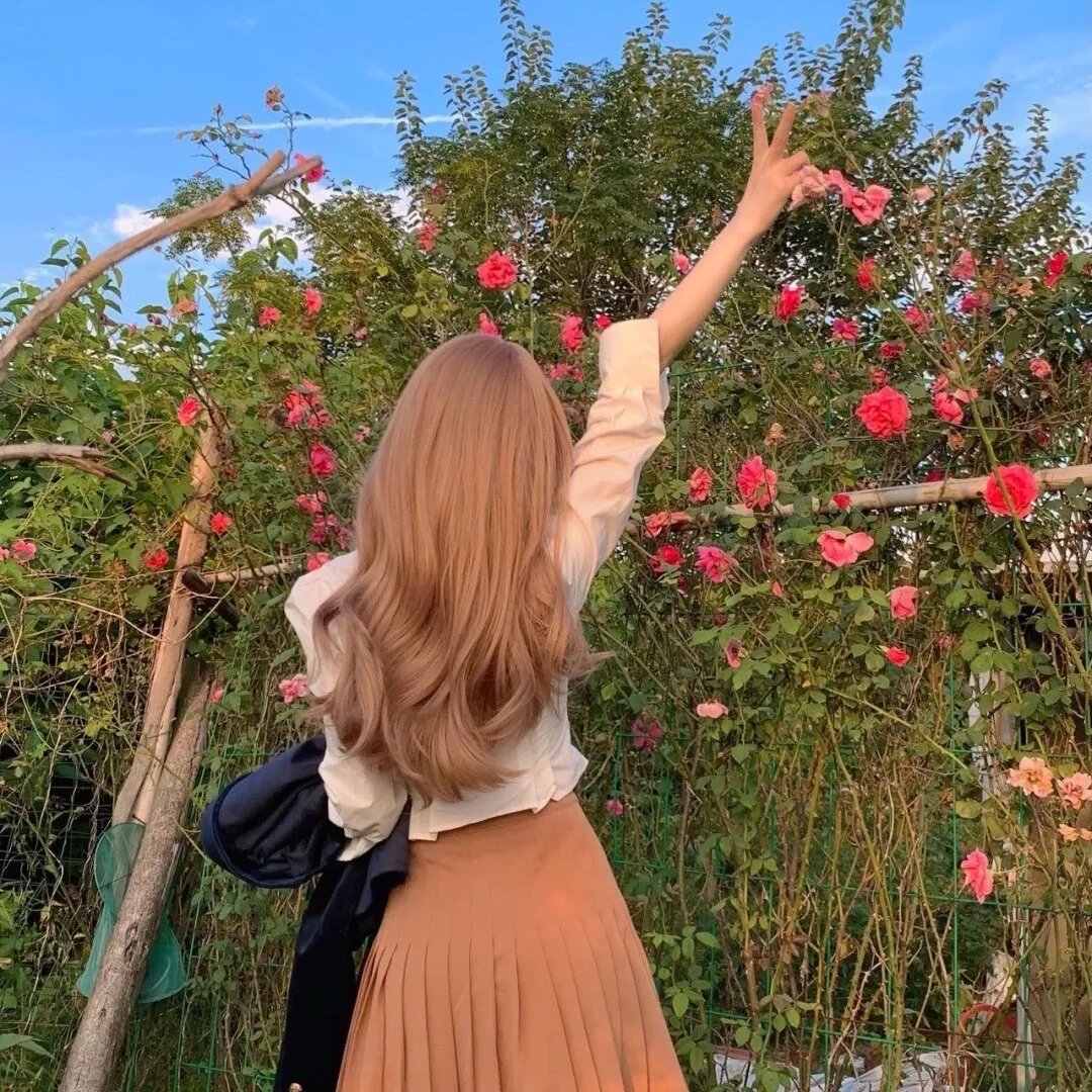 花园蜘蛛